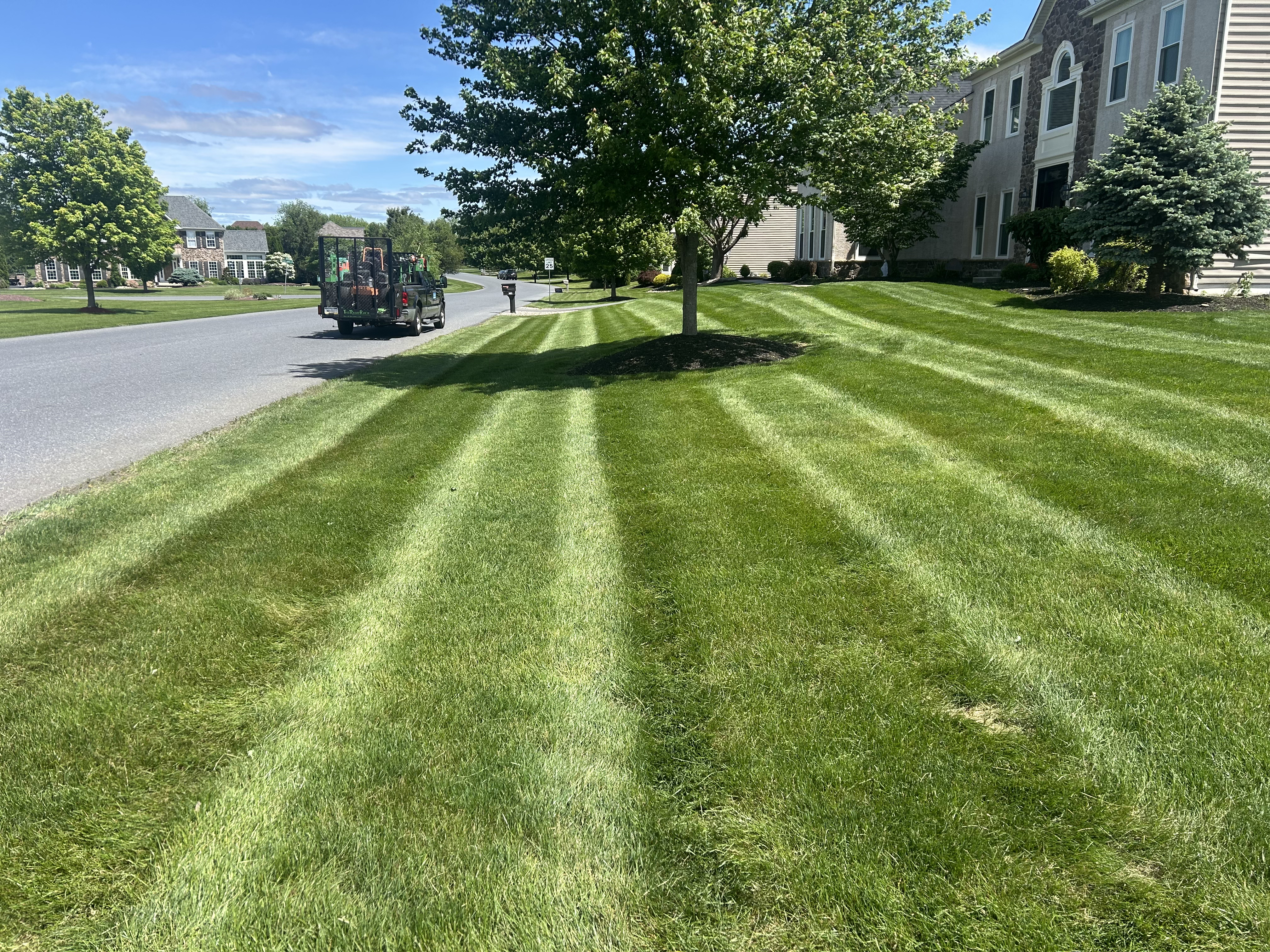 Lawn Care